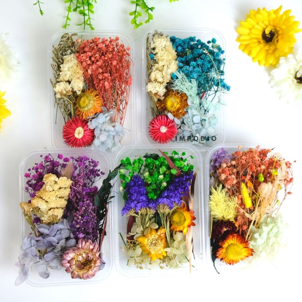 IMPODIO Paket Box bunga kering import - Bunga kering - Props foto