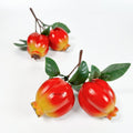 IMPODIO Delima Buah Artificial Palsu Imitasi – Fake Pomegranate Props
