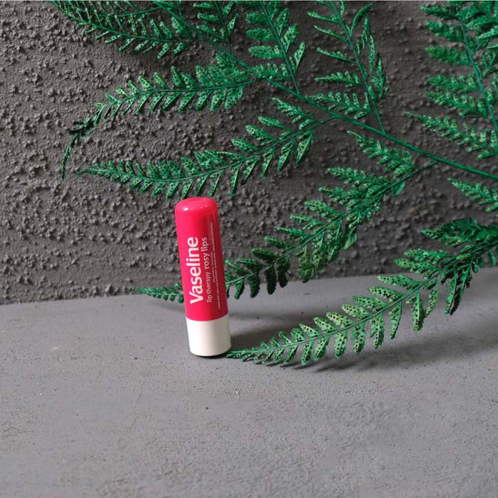 IMPODIO Daun Pakis Kering/dried leaf flower props  Properti foto produk