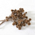 IMPODIO 1 ikat dried flower marigold – buket bunga kering - props foto