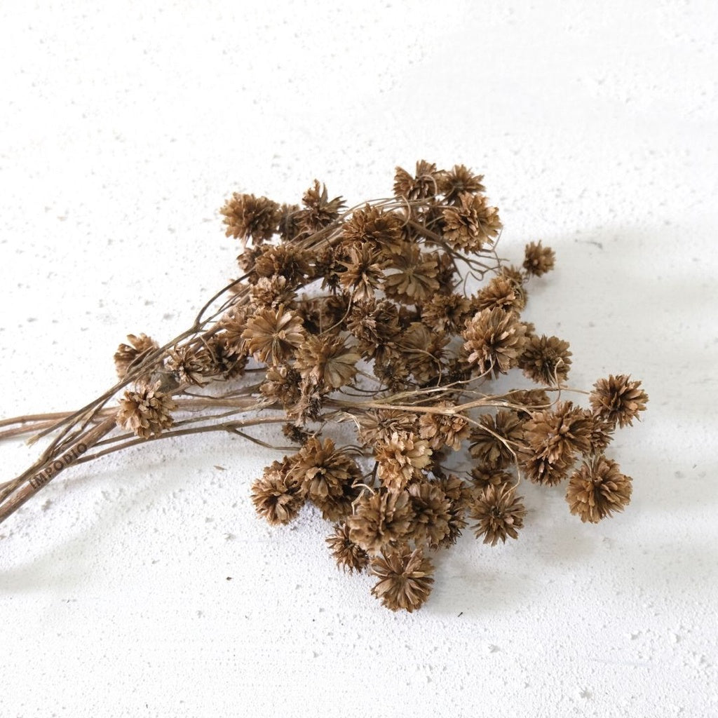 IMPODIO 1 ikat dried flower marigold / buket bunga kering - props foto