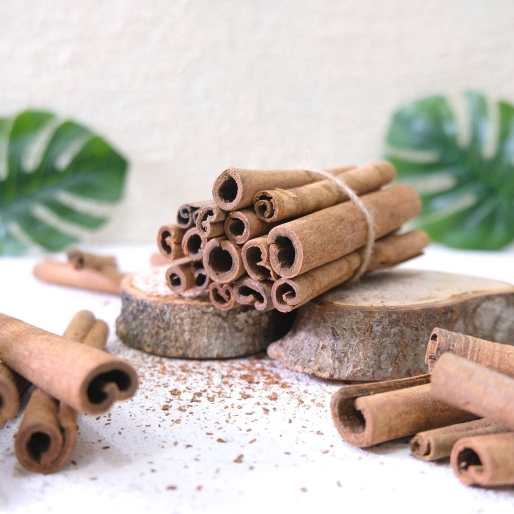 Cinnamon stick IMPODIO/kayu manis / rustic properti foto - photo props