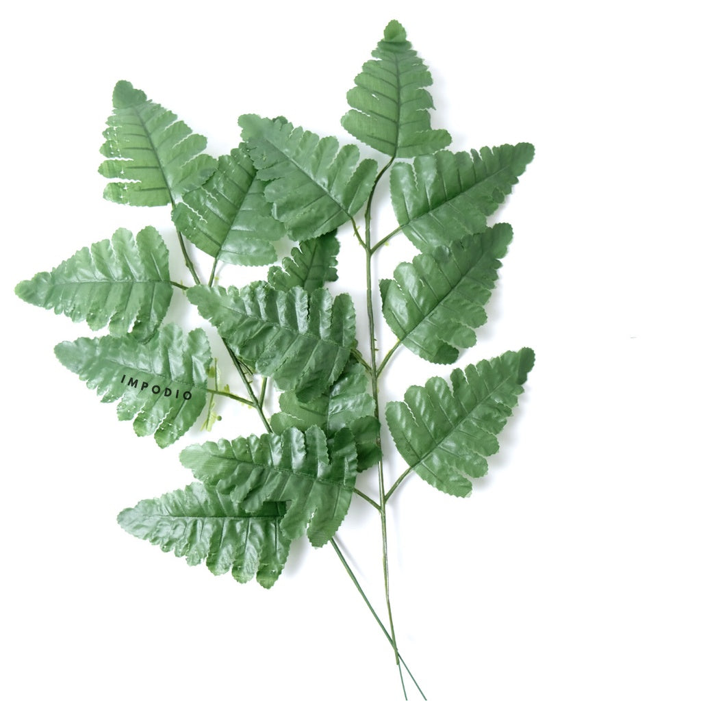 IMPODIO Daun Pakis Artificial - Props foto