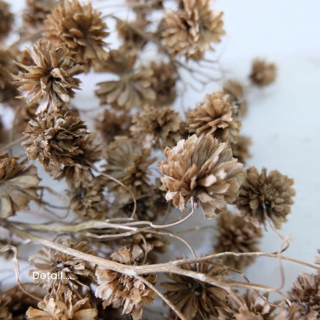 IMPODIO 1 ikat dried flower marigold / buket bunga kering - props foto