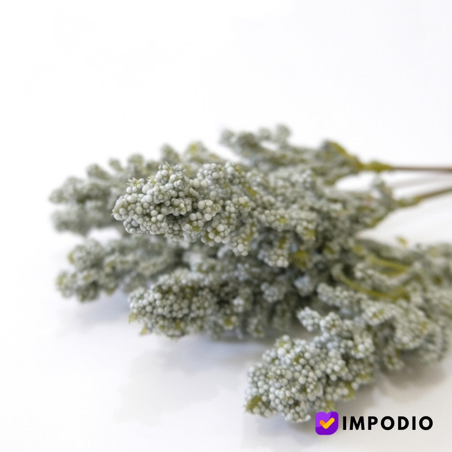 IMPODIO Artificial Japanese Skimmia Flower IMPODIO / bunga props fotografi