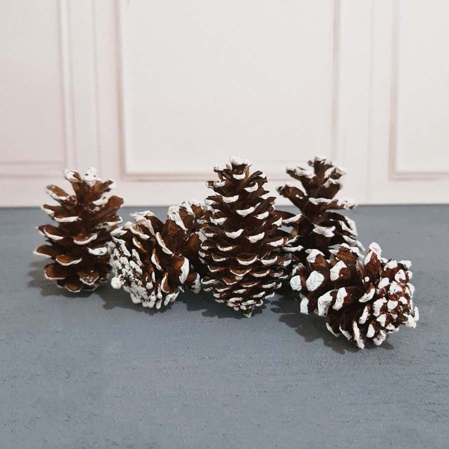 IMPODIO Bunga Pinus Christmas Edition / PInus putih / Pinus kering putih Props