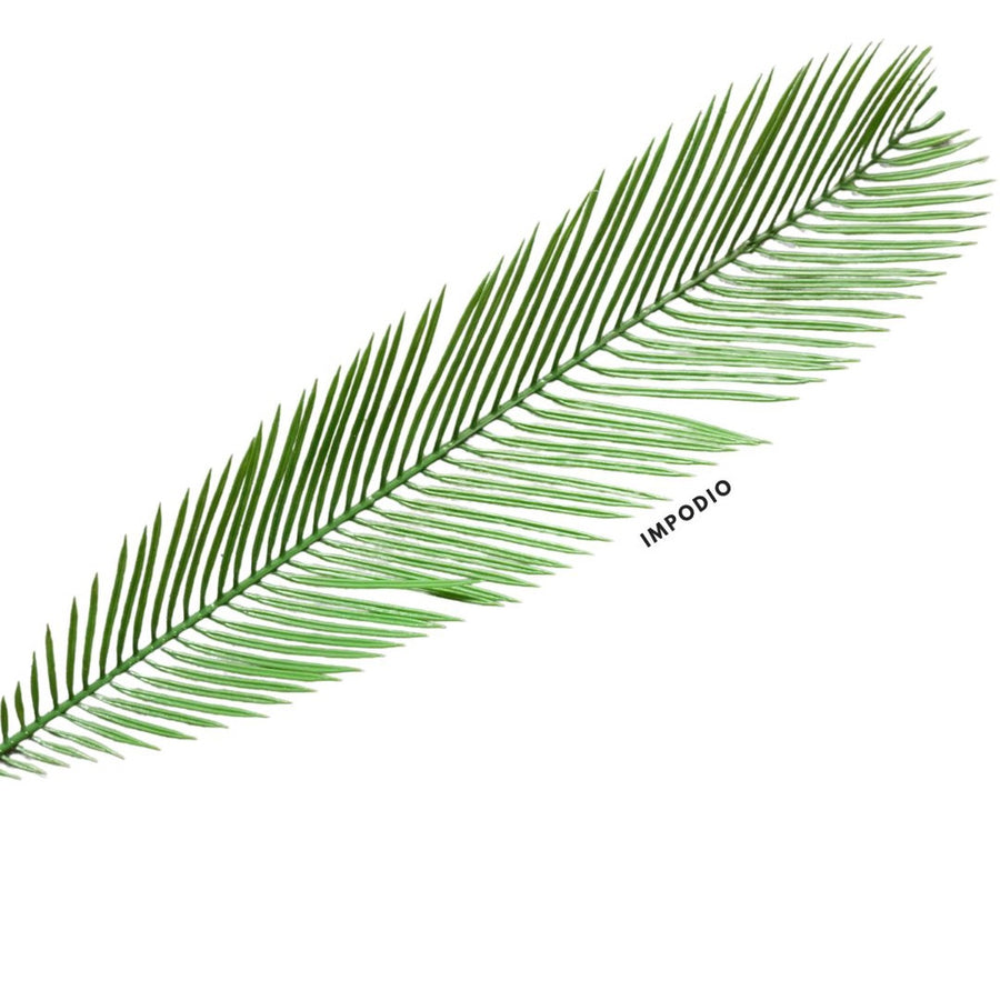 IMPODIO Daun Palem Palsu photo props – artficial palm leaf