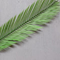 IMPODIO Daun Palem Palsu photo props – artficial palm leaf - detail produk