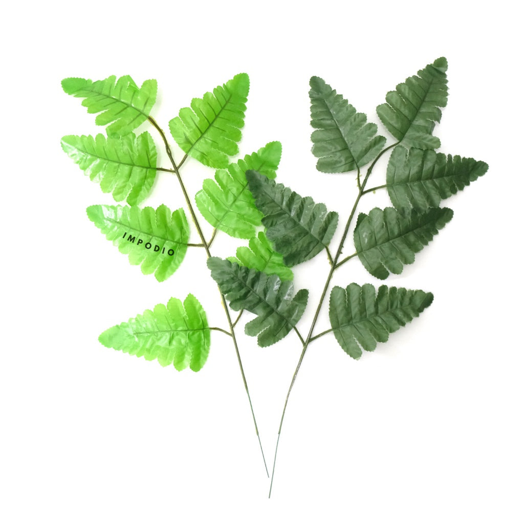 IMPODIO Daun Pakis Artificial - Props foto