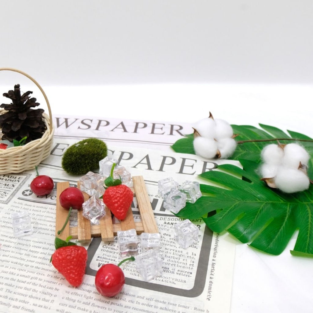 IMPODIO Cotton flower / bunga kapas props foto dekoratif bunga kering