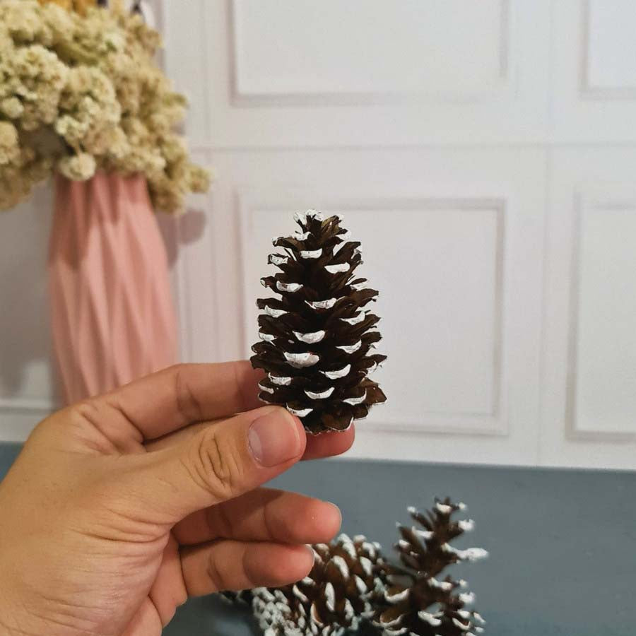 IMPODIO Bunga Pinus Christmas Edition / PInus putih / Pinus kering putih Props