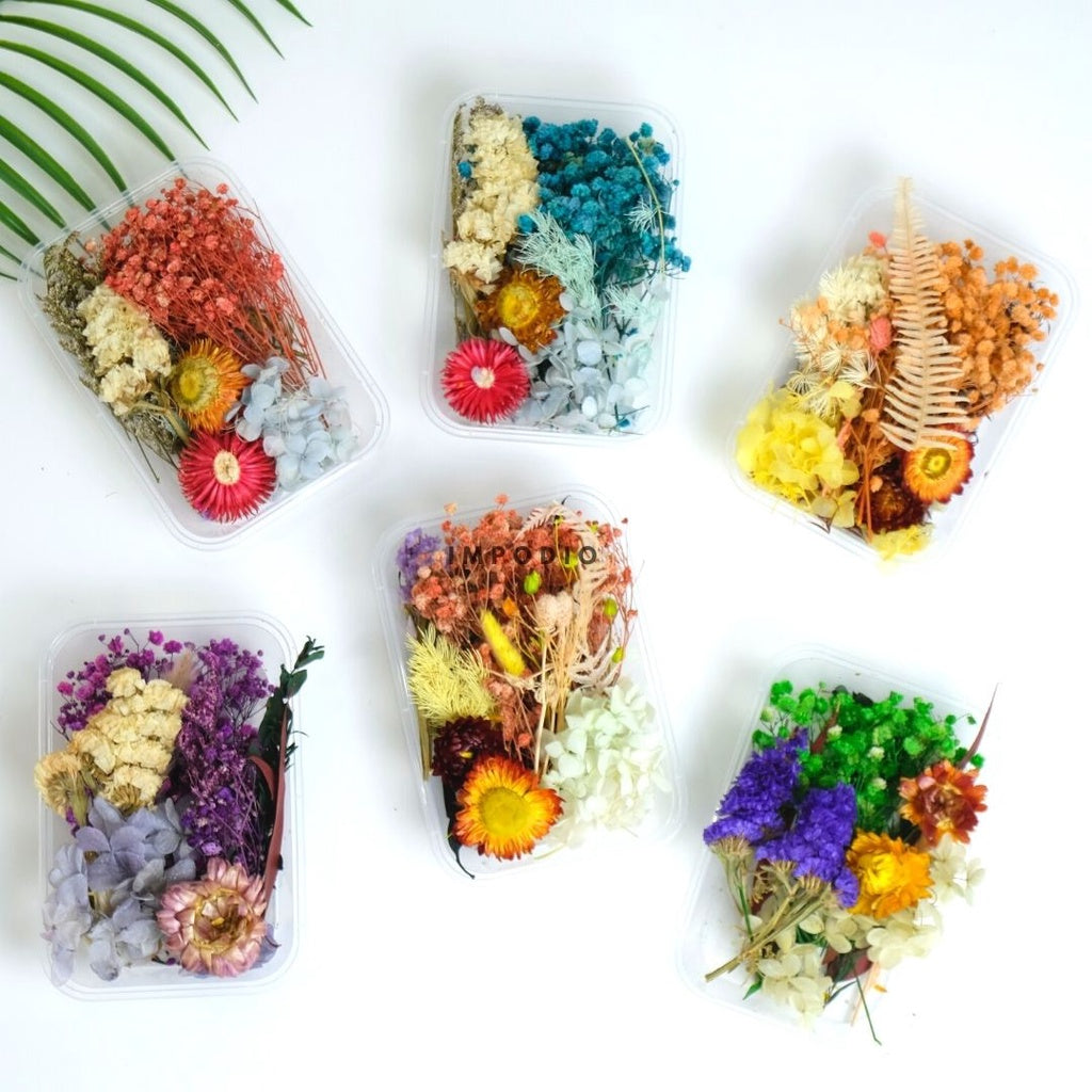IMPODIO Paket Box bunga kering import - Bunga kering - Props foto