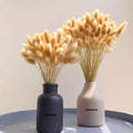 IMPODIO bunny tail putih IMPORT quality – bunga kering lagurus props - detail produk