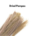 IMPODIO Dried Pampas – bunga pampas kering – aksesoris pelengkap photo