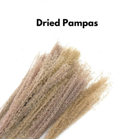 IMPODIO Dried Pampas / bunga pampas kering / aksesoris pelengkap photo
