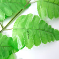 IMPODIO Daun Pakis Artificial - Props foto - background putih