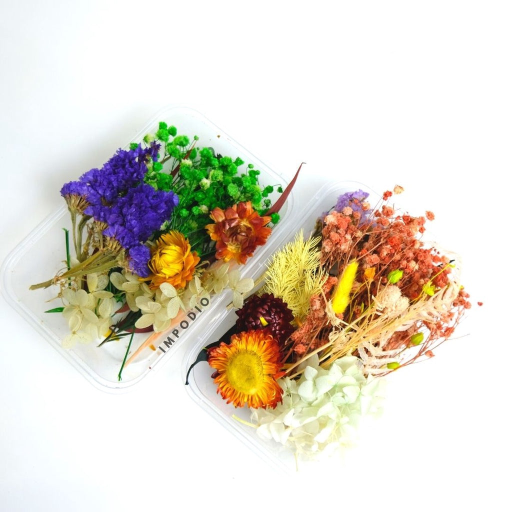 IMPODIO Paket Box bunga kering import - Bunga kering - Props foto