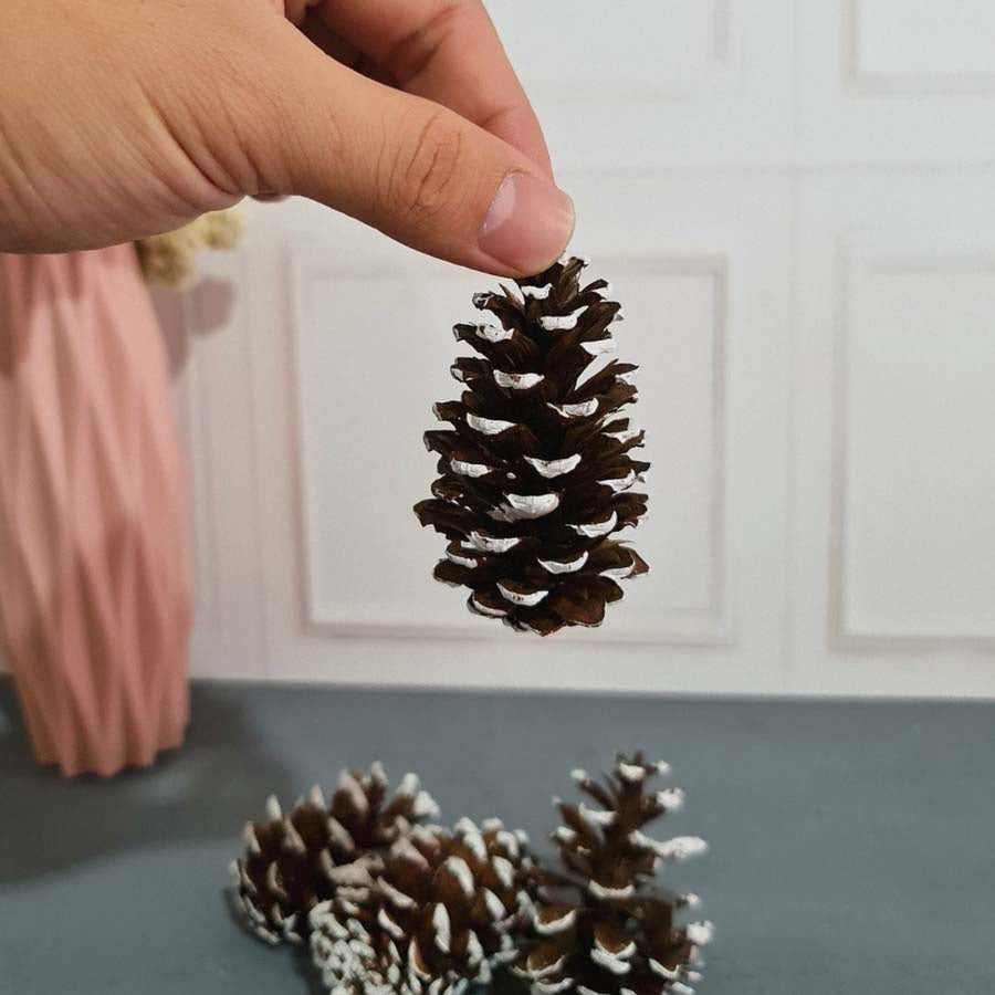 IMPODIO Bunga Pinus Christmas Edition / PInus putih / Pinus kering putih Props