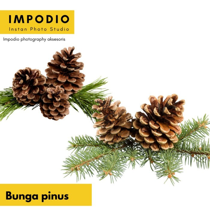 IMPODIO Bunga Pinus Kering / Crafts / Terrarium Artificial untuk props foto