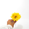 IMPODIO Bunga Krisan Aster Artificial- dekorasi foto props - close up