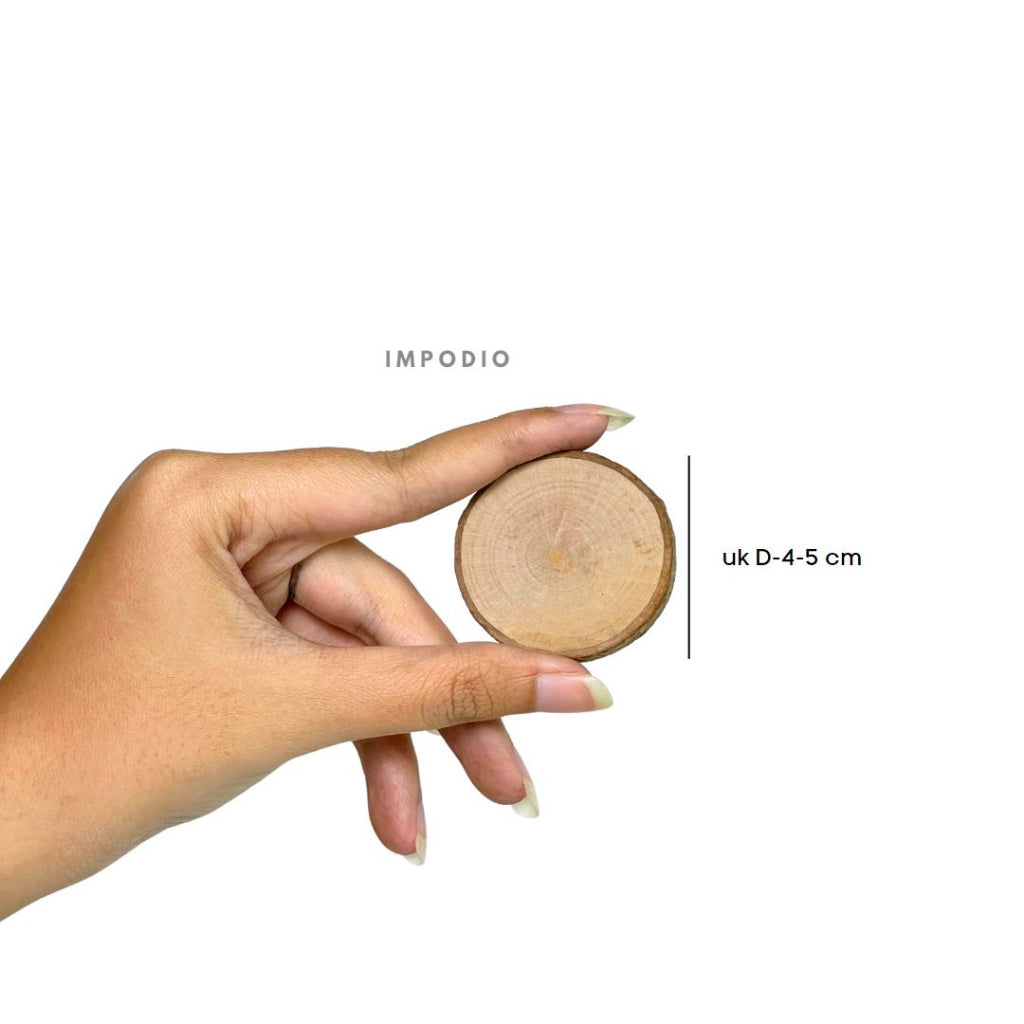 wood slice / potongan kayu kecil 4-5cm IMPODIO props photo