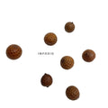 IMPODIO Natural Dried seed – Biji bentul bulat dan lonjong - dalam penggunaan