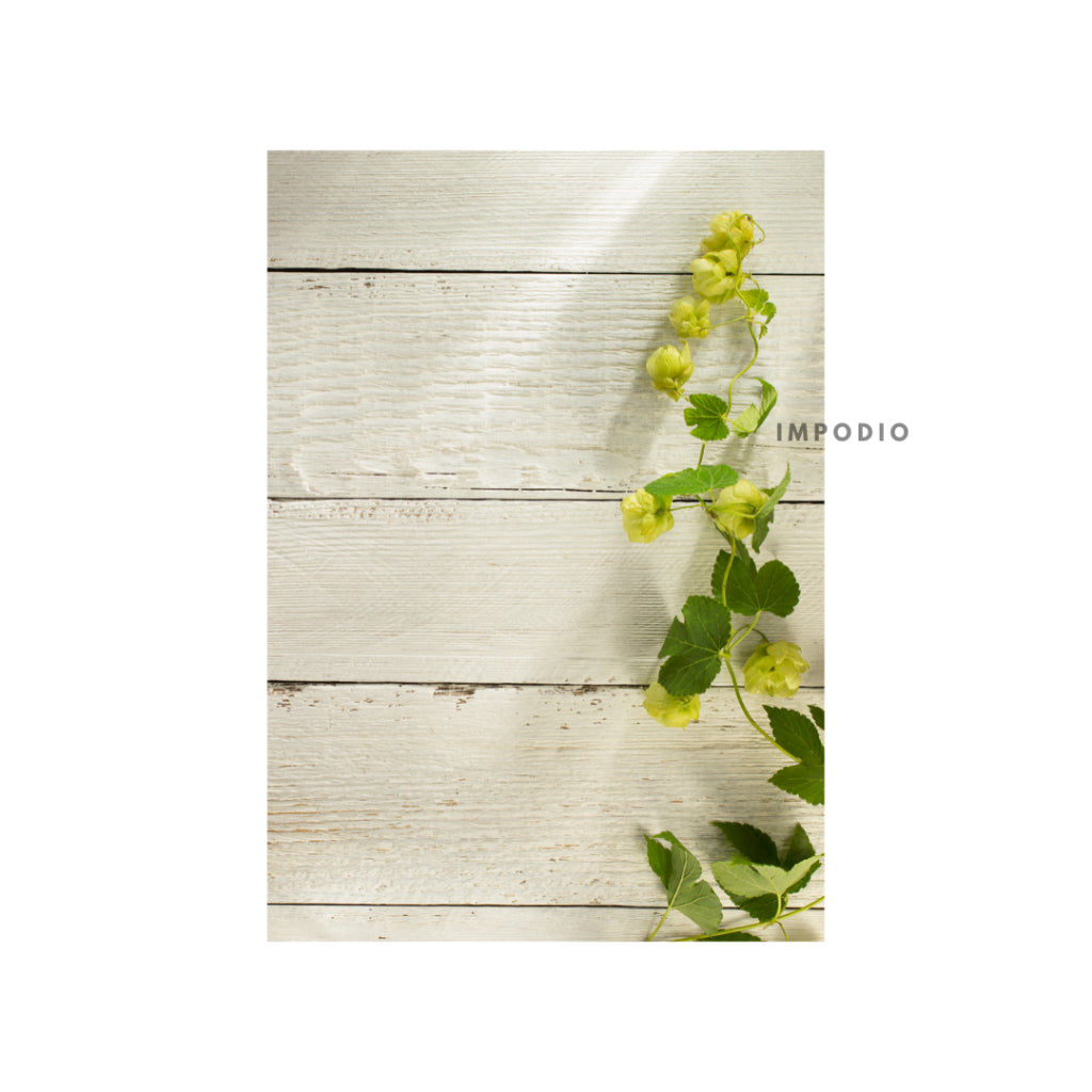 IMPODIO Background foto lembaran Uk 44x70 cm - Alas foto produk