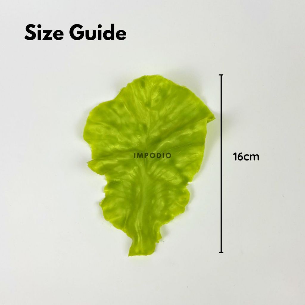 IMPODIO Daun Selada Sayur Artificial Palsu - Fake Lettuce Vegetable Props Foto Produk
