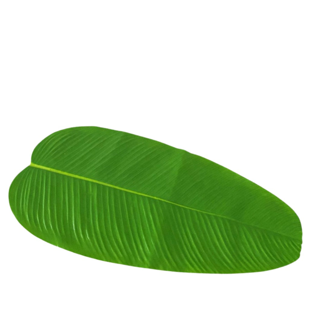 IMPODIO Daun Pisang Palsu / Banana Leaf Artifical  / Properti konten foto props