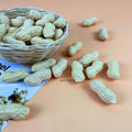 IMPODIO Kacang kulit palsu artificial – fake peanut dekorasi props - close up