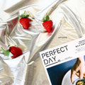 IMPODIO Kain Background Silver Reflektif - Backdrop Foto Produk - close up