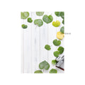 IMPODIO Background foto lembaran Uk 44x70 cm - Alas foto produk - foto 14