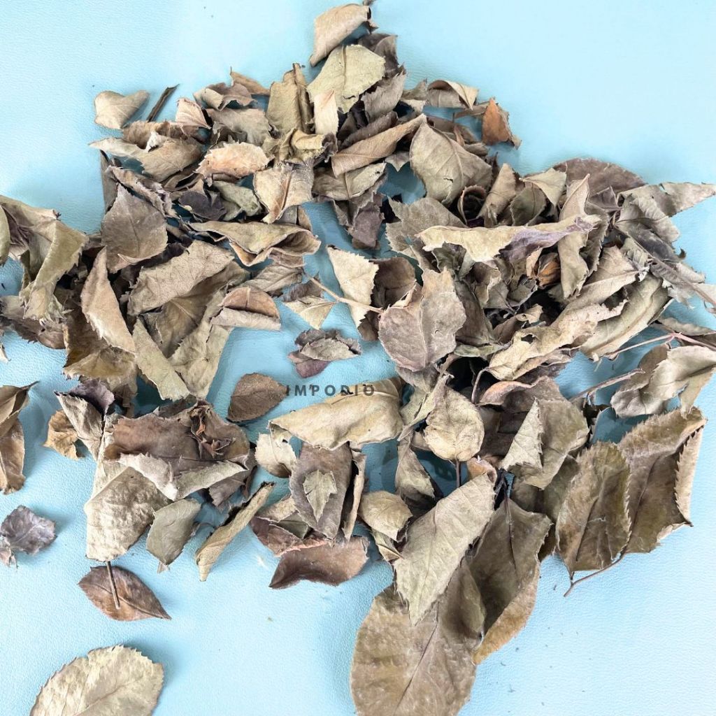 IMPODIO Paket Box Daun Kering - Properti Dekorasi Foto Produk