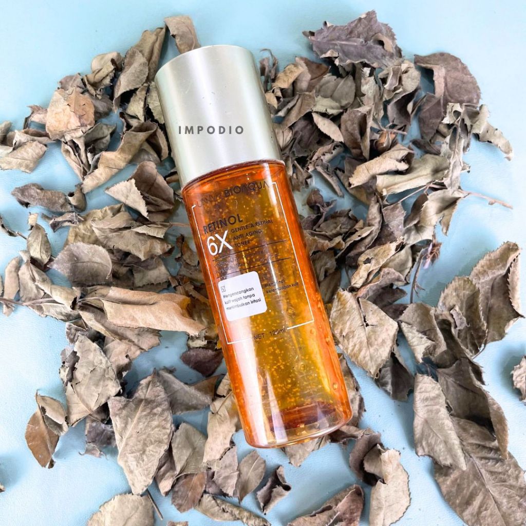 IMPODIO Paket Box Daun Kering - Properti Dekorasi Foto Produk