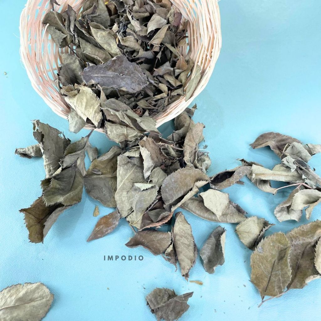 IMPODIO Paket Box Daun Kering - Properti Dekorasi Foto Produk