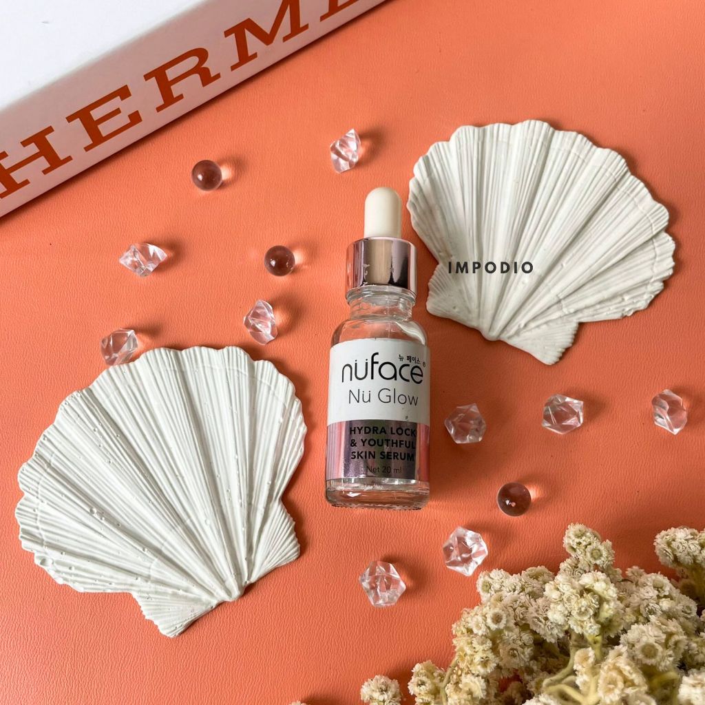 IMPODIO Coral Shell Concrete - Props foto produk bentuk kerang