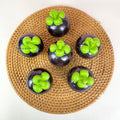 IMPODIO Manggis Artificial - Buah Palsu Imitasi Props Foto Produk - detail produk