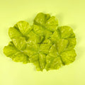 IMPODIO Daun Selada Sayur Artificial Palsu – Fake Lettuce Vegetable - close up
