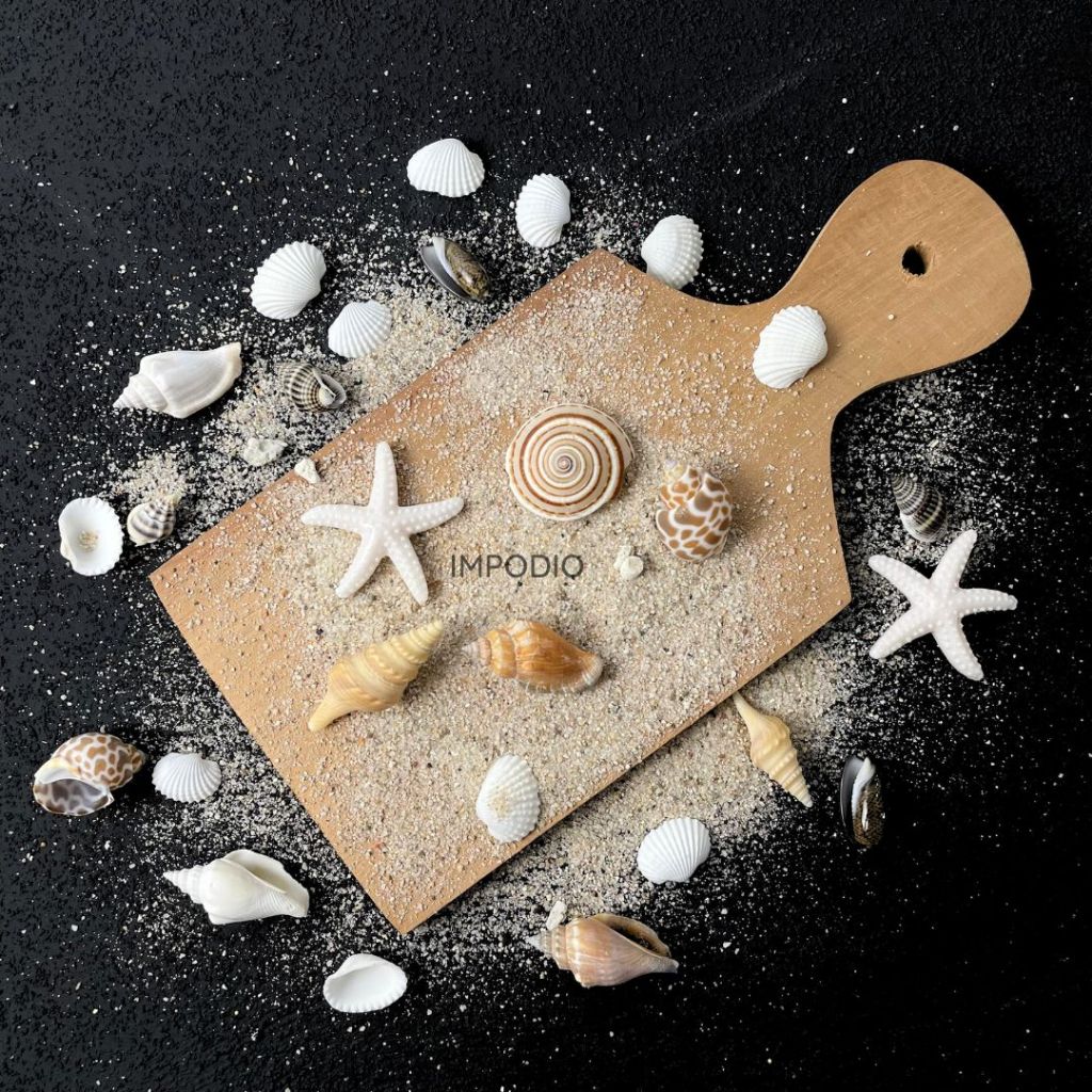 IMPODIO Mini kerang hias set / hiasan mahar / foto produk acc