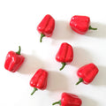 IMPODIO Mini paprika artificial – buah palsu - close up