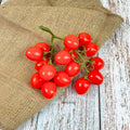 IMPODIO Fake Tomato Vegetables – Tomat Renceng 16 Pcs Dekorasi Props - background putih