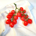 IMPODIO Fake Tomato Vegetables – Tomat Renceng 16 Pcs Dekorasi Props - lifestyle