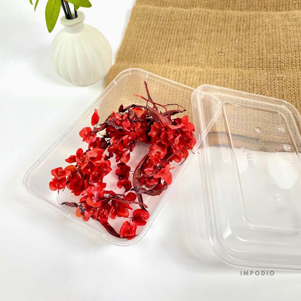 IMPODIO Dried Dodonea Flower Bunga Dekorasi Imlek Chinese Newyear - Dekorasi Foto Produk