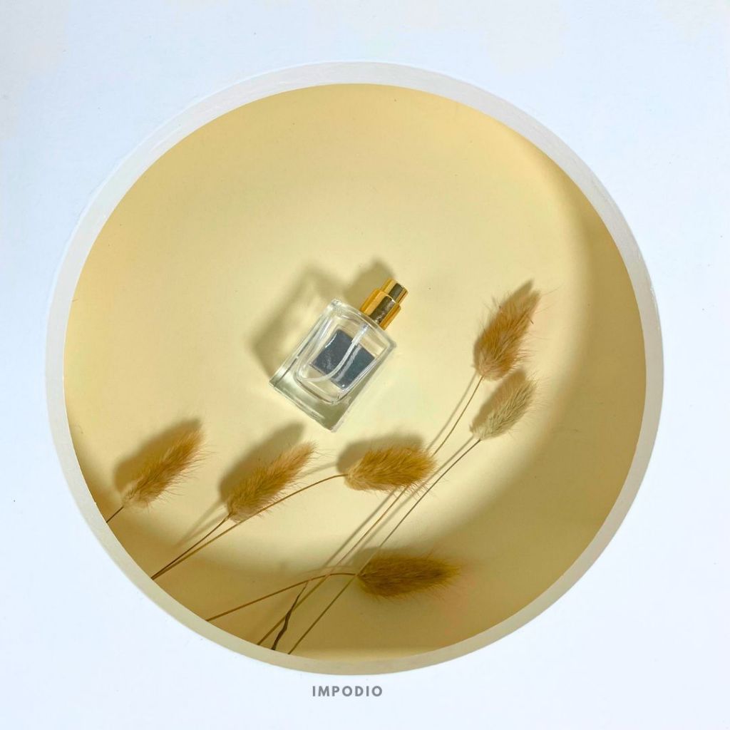 IMPODIO Geometry Circle - Props Properti Foto - wall window panel - Display produk jendela background photo