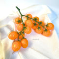 IMPODIO Fake Tomato Vegetables – Tomat Renceng 16 Pcs Dekorasi Props - packaging
