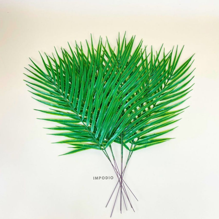 IMPODIO Palm Branch Leaf – properti foto produk konten