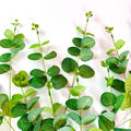IMPODIO Daun Eucalyptus Artifical per satu Tangkai - detail produk