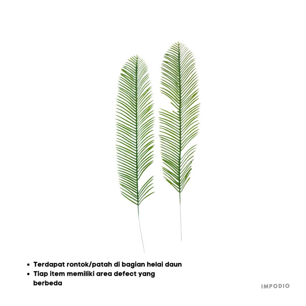 [ DEFECT ] Artificial Leaf Sikas - daun Props photo produk
