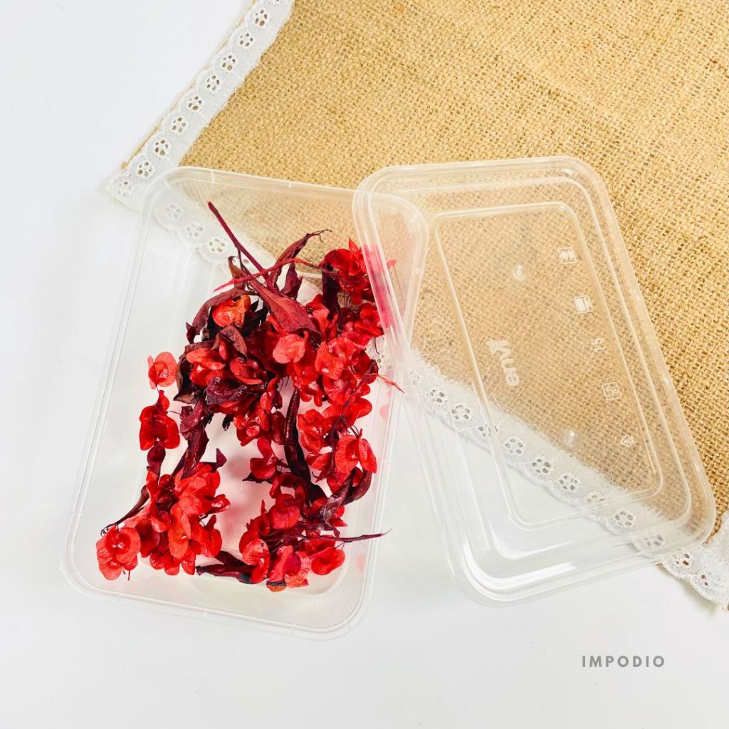 IMPODIO Dried Dodonea Flower Bunga Dekorasi Imlek Chinese Newyear - Dekorasi Foto Produk