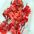 IMPODIO Dried Dodonea Flower Bunga Dekorasi Imlek Chinese Newyear - close up